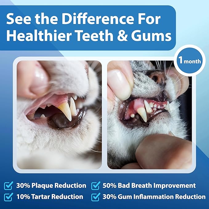 Cat Dental Care Powder Bad Breath Treatment for Cats Teeth, Mouth, Gums & Gut, Plaque Off,Tartar Control, Help Feline Gingivitis and Stomatitis, with Natural Extracts & Probiotics