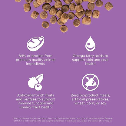 Go! Solutions Carnivore, Grain-Free, Protein Rich Dry Cat Food, Chicken, Turkey and Duck Recipe, 16 lb Bag