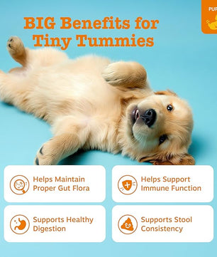 Zesty Paws Puppy Probiotics for Dogs - for Digestive Health, Gut Flora & Immune System Support - Dog Probiotics for Puppies with Bacillus subtilis & Pumpkin - 90 Count