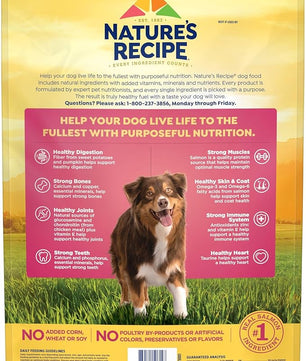 Nature’s Recipe Grain Free Salmon, Sweet Potato & Pumpkin Recipe Dry Dog Food, 24 lb. Bag