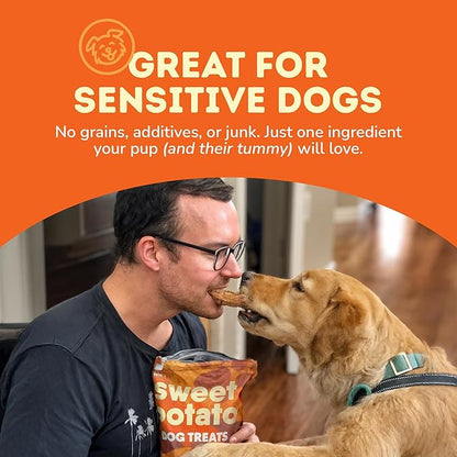 Davie's Sweet Potato Dog Treats - Healthy, Natural Dog Chews, Low Fat, 1 lb. Bag