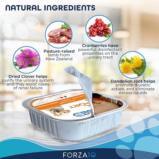 Forza10 Kidney Care Dog Food – Renal Support Wet Dog Food with Lamb, Low Protein & Phosphorus Formula, Sensitive Stomach, 3.5 oz Cans, 12 Pack – Vet Formulated, Made in Italy