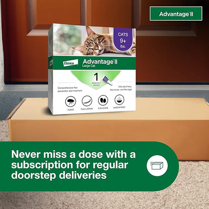 Advantage II Large Cat Vet-Recommended Flea Treatment & Prevention | Cats Over 9 lbs. | 1-Month Supply