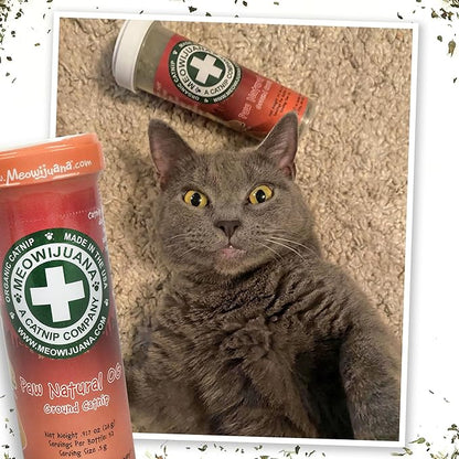 Meowijuana Purrple Passion Cat Nip - Premium Organic Blend of Catnip for Cats & Silvervine, Stimulates Playful Behavior, 26g, Natural Wellness Gift for Cat Lovers