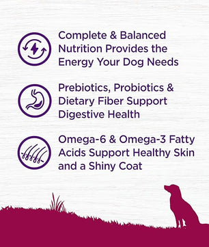 Wellness Complete Health Dry Dog Food, Small Breed, Grain Free, Natural, Turkey, Chicken, & Salmon Recipe (11-Pound Bag)