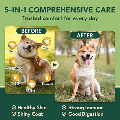 YOTANGO Dog Flea and Tick Support Crunchy & Creamy Chewables, 500 Chews Natural Flea and Tick Support for Dogs Chewable, Skin and Coat Support, Flea Chews for Dogs and Puppies (Beef Flavor)