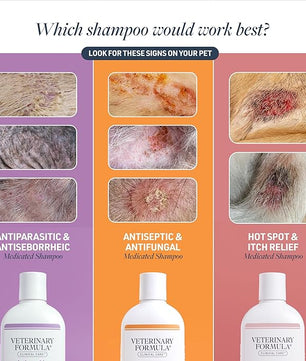 Veterinary Formula Clinical Care Antiseptic and Antifungal Medicated Shampoo for Dogs & Cats, 16 Fl Oz – Helps Alleviate Scaly, Greasy, red Skin – Paraben, Dye, Soap-Free (2 Pack)