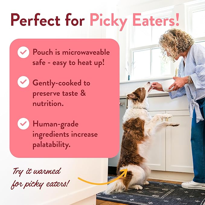 Portland Pet Food Company Wally's Salmon N' Rice Fresh Dog Food Pouches - Human-Grade, Gluten-Free Wet Pet Meal Topper & Mixers - Small & Large Breed Puppy & Senior Dogs - Made in The USA - 5 Pack