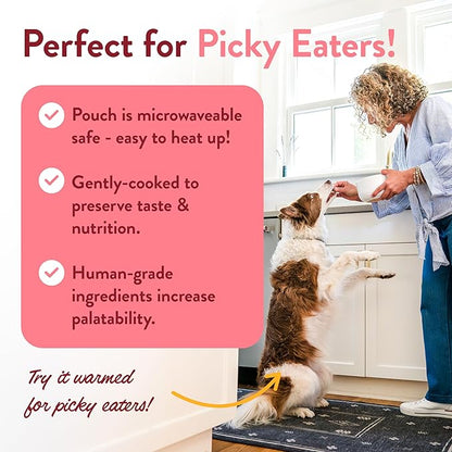 Portland Pet Food Company Wally's Salmon N' Rice Fresh Dog Food Pouches - Human-Grade, Gluten-Free Wet Pet Meal Topper & Mixers - Small & Large Breed Puppy & Senior Dogs - Made in The USA - 5 Pack