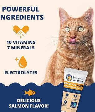 Under the Weather Pet Electrolytes Ready Cal Plus Gel for Cats | Vet-Formulated High-Calorie Supplement for Cats & Kittens | Promotes Weight Gain & Boosts Energy for Sick Felines | 3.5 Oz Tube Pack