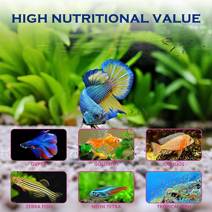 Freeze Dried Blood Worms Fish Food - High Protein Natural Aquatic Food for Tropical & Saltwater Fish, Betta, Goldfish, Cichlid, Guppy - Enhances Color & Growth 3.5 oz