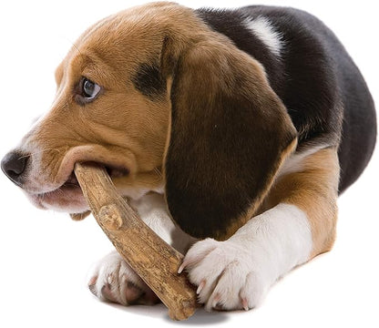 Nylabone Healthy Edibles WILD Natural Dog Chew Treats for Large Dogs, Long Lasting Dog Healthy Chew Antler Bone Made in USA, Venison Flavor, For Dogs Up to 50 lbs. (2 Count)