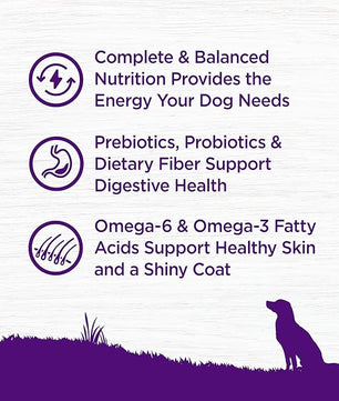 Wellness Complete Health Dry Dog Food, Grain Free, Natural, Lamb Recipe, (24-Pound Bag)