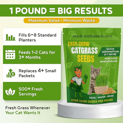 Todd's Seeds – Cat Grass for Indoor or Outdoor Cats, 1lb Wheatgrass – Premium, 100% Chemical Free (Better Than Organic) Non-GMO, Pet-Safe & Easy to Grow in 5-7 Days – No Special Equipment Needed.