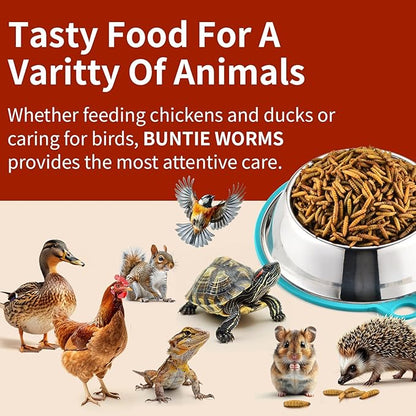 Dried Black Soldier Fly Larvae 5LB, High Protein Chicken Feed, 100% Natural Non-GMO – Treat for Chicken More Calcium Than Mealworms, Food for Laying Hen, Ducks, Wild Birds