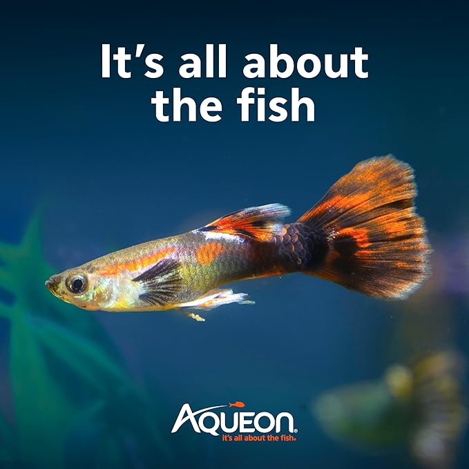 Aqueon QuietFlow Internal Filter with SmartClean Technology, Extra Small