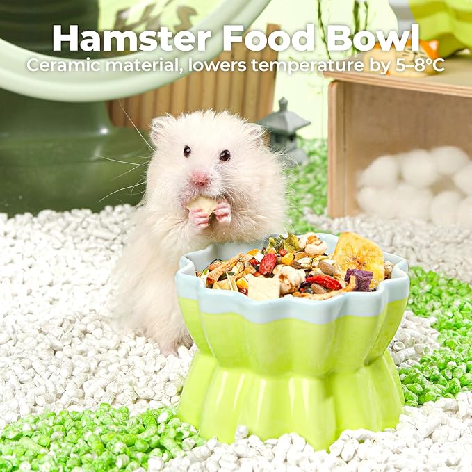 mini&moe Hamster Food Bowl - Ceramic Guinea Pig Bowl Anti-Turning Small Pet Food Feeding Dish for Rabbit Rat Gerbil Mouse Chinchilla