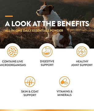 NaturVet All-in-One Dog Supplement - for Joint Support, Digestion, Skin, Coat Care – Dog Multivitamins with Minerals, Omega-3, 6, 9 – Wheat-Free Vitamins for Dogs – 13-Ounce Powder