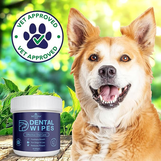 NOVEHA 100PCs Pets Dental Finger Wipes for Dogs & Cats | Freshens Breath, Reduces Plaque | Healthier Gums | Clean Teeth No Toothbrush | Vet Recommended Effective Natural Oral Care | Flavor-Free