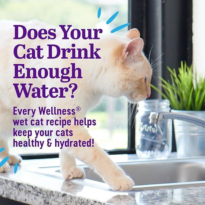 Wellness Appetizing Entrées Shredded Adult Wet Cat Food, Natural, Protein-Rich, Grain Free, 2.8 Ounce Pouch, 8 Pack (Chicken & Duck Recipe)