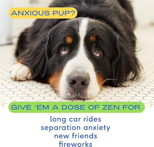 Native Pet Dog Calming Chews (60 Chews) & Organic Pumpkin for Dogs (8 oz.) - Melatonin for Small, Medium, Large Dogs and All-Natural, Organic Fiber Pumpkin Powder for Dogs