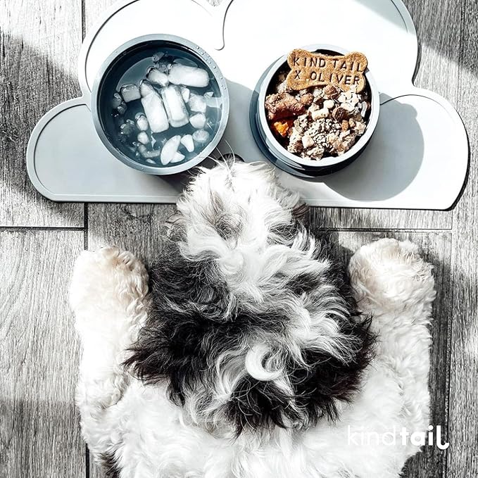 KindTail Dog Travel Bowls - Set of 2 Portable Pet Food & Water Dishes with Lid & Handle - Each Nesting Container Includes a Non-Slip Silicone Base - Microwave & Dishwasher Safe - BPA & Toxin-Free