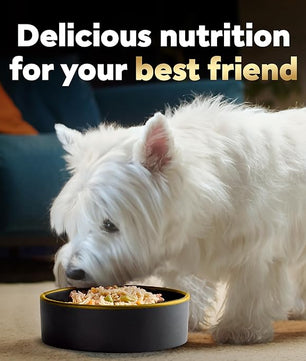 Cesar Wholesome Bowls Adult Wet Dog Food, Beef, Chicken, Carrots, Barley & Green Beans Recipe and Chicken, Apple & Sweet Potato Recipe Variety Pack, 3 oz. (6 Count, Pack of 1)