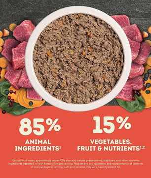 ACANA Premium Pate in Bone Broth Grain-Free Wet Dog Food Beef Recipe 12.8oz Cans (12 Count)