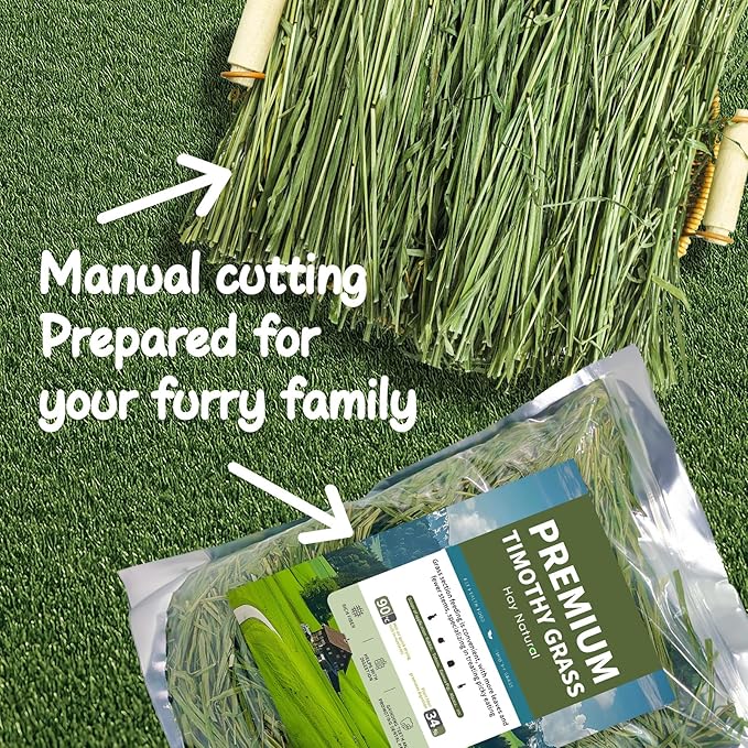 Oven-Baked Timothy Hay for Guinea Pigs, Rabbits & Chinchillas, All Natural High Fiber Food for Digestive Health, 1.1 LB