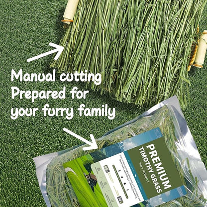Oven-Baked Timothy Hay for Guinea Pigs, Rabbits & Chinchillas, All Natural High Fiber Food for Digestive Health, 1.1 LB