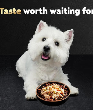 Cesar Simply Crafted Adult Wet Dog Food Meal Topper, Chicken, Carrots & Green Beans and Beef, Chicken, Purple Potatoes, Peas & Carrots Variety Pack, 1.3 oz. (16 Count, Pack of 1)