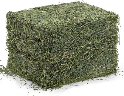 High Desert Alfalfa Hay, Protein Rich Soft Leaf Food for Young Growing Animals, Natural Rabbit Food and Guinea Pig Hay, Supports Digestive Health, Small Pet Supplies, Fresh Hand Packed 10 Lb Box