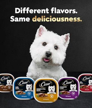 Cesar Wet Dog Food Classic Loaf in Sauce Poultry Variety Pack, 3.5 oz. Easy Peel Trays (24 Count, Pack of 1)