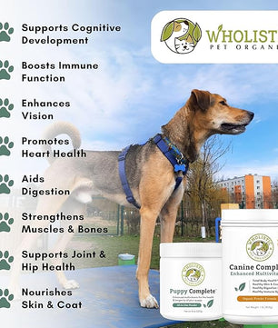 Wholistic Pet Organics Canine Complete - Dog Multivitamin Powder - 2 Lb - Daily Dog Vitamins and Supplements for Homemade Food - Immune System, Skin, Coat & Overall Health - Small and Large Breed