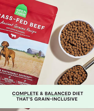 Open Farm, Ancient Grains Dry Dog Food, Protein-Rich & Nutrient Dense, 90% Animal Protein Mixed with Non-GMO Fruits, Veggies and Superfoods, Grass-Fed Beef Recipe, 11lb Bag