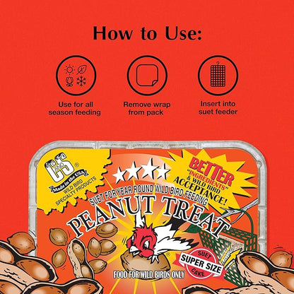 C&S Peanut Suet Treat, Suet Cakes for Wild Birds, 11 Ounces, Pack of 8