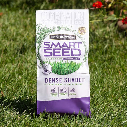 Pennington Smart Seed Dense Shade Grass Mix Bag 7 lb