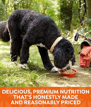 Nature's Recipe Grain Free Chicken Recipe in Savory Broth Wet Dog Food, 2.75 oz. Cup, 12 Count