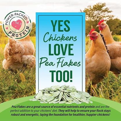 Small Pet Select - Pea Flakes, Treats for Rabbit Bunny, Guinea Pig, Chickens, Bunny, Hamster, and Other Small Pets, 1 lb