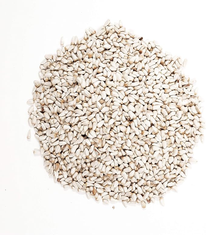 Wagner's Songbird Banquet & Safflower Seed Wild Bird Food, 5 & 10 lb