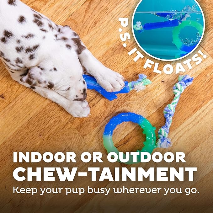 Outward Hound Orka Puppy Dental Chew Toys for Small Dogs & Teething Puppies - 3 Pack