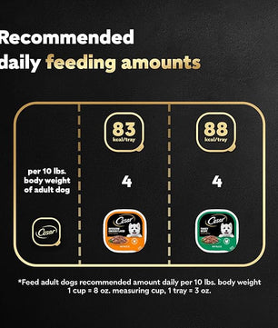 Cesar Filets in Gravy Adult Wet Dog Food, Poultry Lovers Multipack, 3.5 oz. (12 Count, Pack of 2)