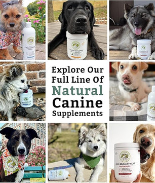 Wholistic Pet Organics Canine Complete - Dog Multivitamin Powder - 1 Lb - Daily Dog Vitamins and Supplements for Homemade Food - Immune System, Skin, Coat & Overall Health - Small and Large Breed