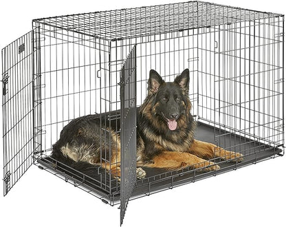 MidWest Homes for Pets 48-Inch Two-Door iCrate Folding Dog Crate with Divider Panel, Leak-Proof Tray & Secure Latches – Metal Wire Kennel for XL Breeds – Portable, Durable & Easy to Assemble