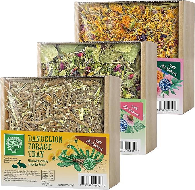 Small Pet Select Forage Tray Bundle, 3 Pack of Foraging Trays for Rabbit, Guinea Pig, Hamster or Bunny - Natural Treats, Dandelion, Flower, Herb Mix 2.5oz Each