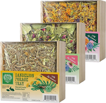 Small Pet Select Forage Tray Bundle, 3 Pack of Foraging Trays for Rabbit, Guinea Pig, Hamster or Bunny - Natural Treats, Dandelion, Flower, Herb Mix 2.5oz Each