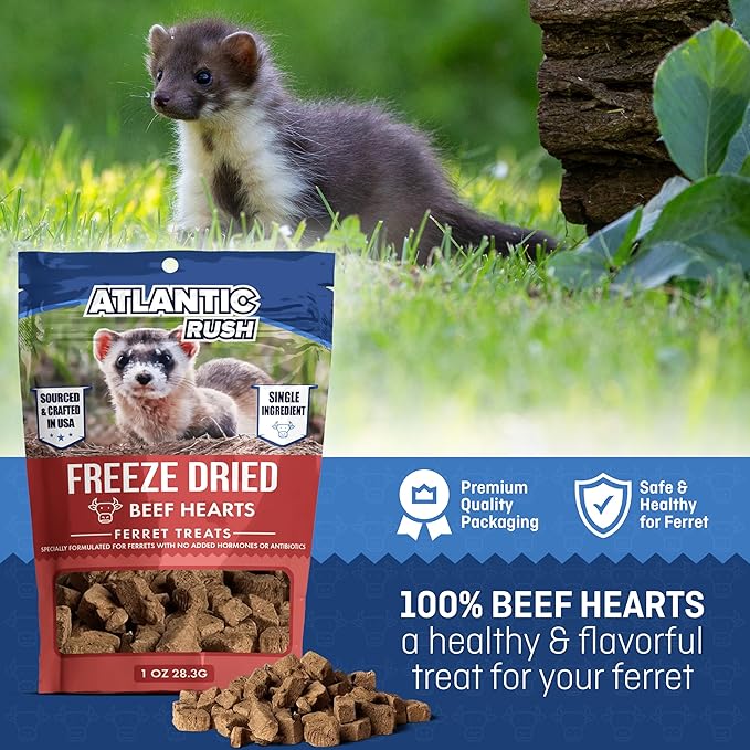 Freeze Dried Small Pet Treats - Resealable Bag of Treats for Ferrets - Ferret Snacks - Single Ingredient Ferret Food With No Preservatives Or Fillers- Small Animals Treats (1oz, Beef Heart)