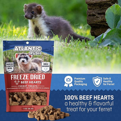 Freeze Dried Small Pet Treats - Resealable Bag of Treats for Ferrets - Ferret Snacks - Single Ingredient Ferret Food With No Preservatives Or Fillers- Small Animals Treats (1oz, Beef Heart)