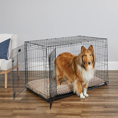 MidWest Homes for Pets 48-Inch Two-Door iCrate Folding Dog Crate with Divider Panel, Leak-Proof Tray & Secure Latches – Metal Wire Kennel for XL Breeds – Portable, Durable & Easy to Assemble
