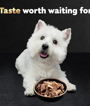 Cesar Wet Dog Food Classic Loaf in Sauce, Steak and Chicken Lovers Variety Pack with Real Meat or Real Chicken, 3.5 oz. Easy Peel Trays (36 Count, Pack of 1)